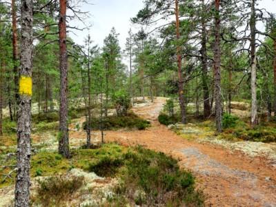 Luontopolkuja